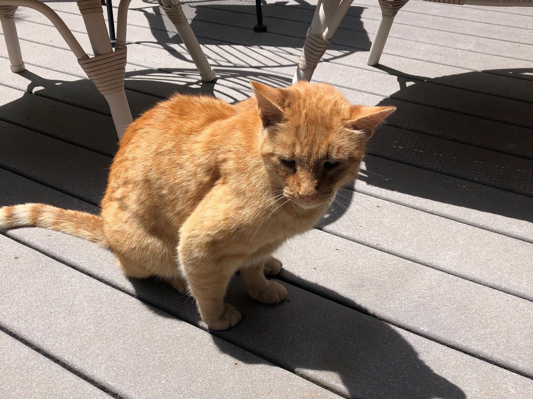 The Hanford House主图