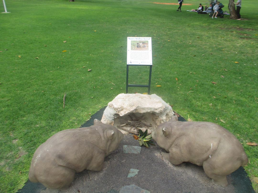 Wombat Statues - Moonta-Port Moonta必去景点
