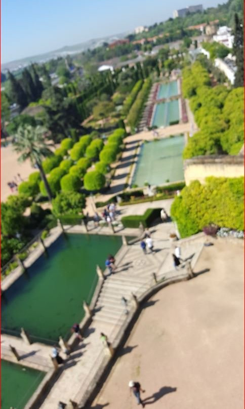Tiered Gardens of The Alcazaba景点图片