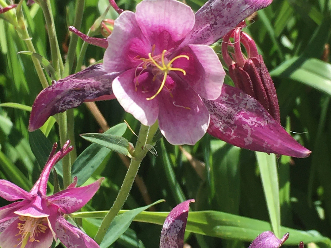 La Quinta Inn & Suites by Wyndham Enid主图