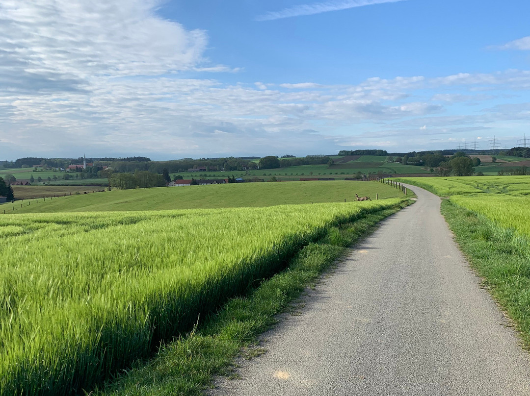 Kramerhof Pension & Appartments主图