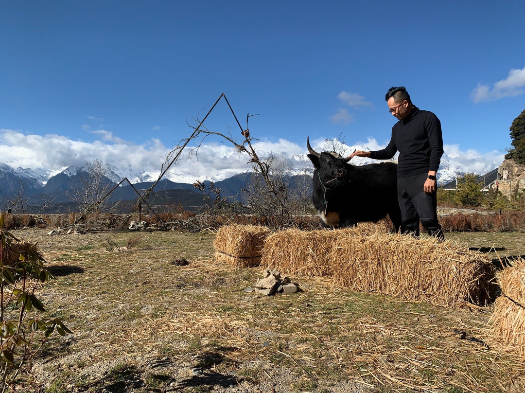 德钦既下山梅里SUNYATA酒店主图