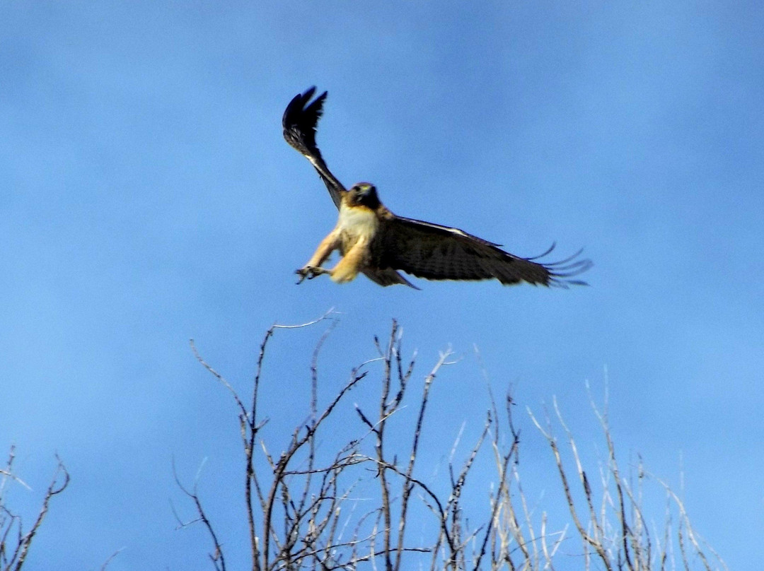 Horseshoe Park-奥罗拉必去景点