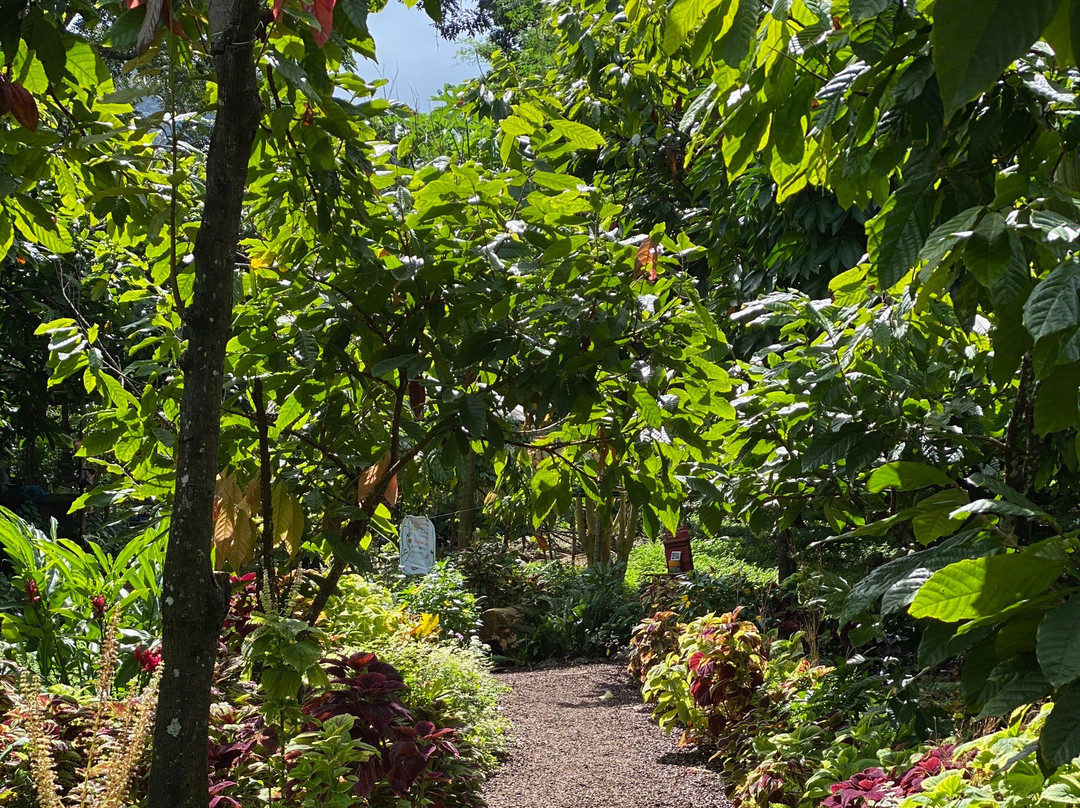 Victoria旅游攻略图片