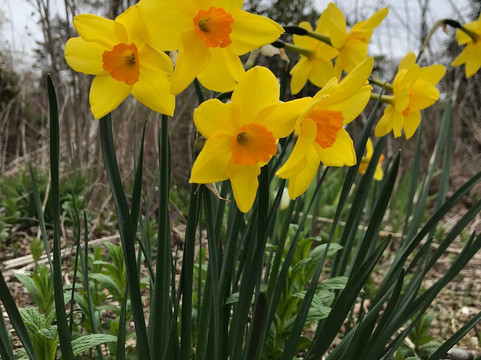 Wethersfield Cove-Wethersfield必去景点