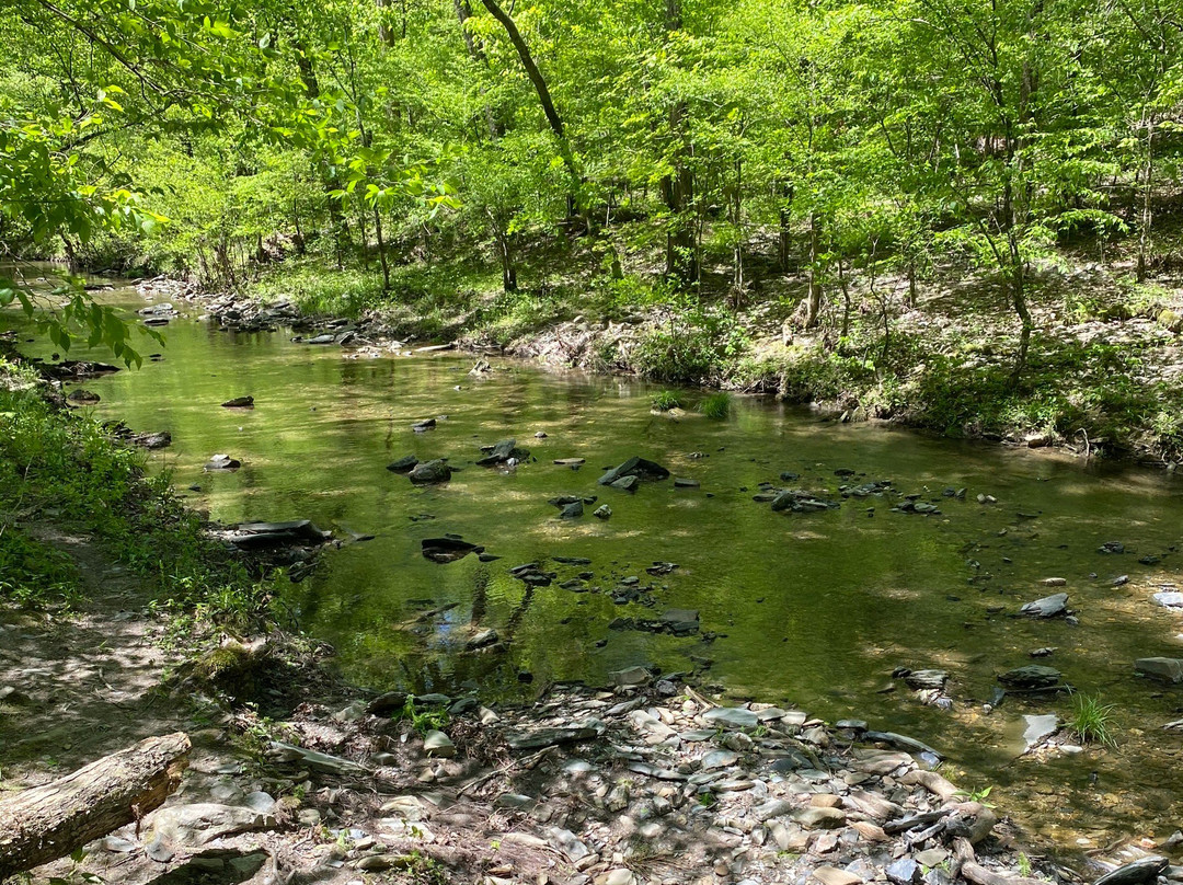 Beavers Bend State Park and Nature Center景点图片