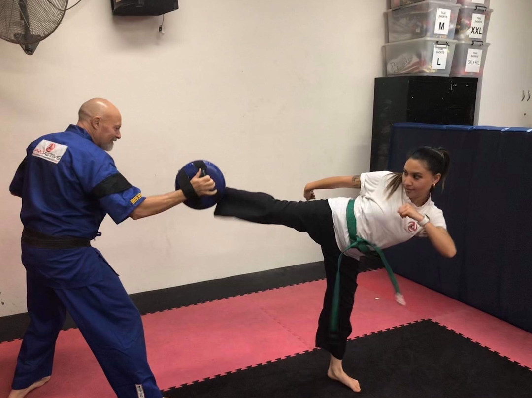 Proactive Self Defence景点图片