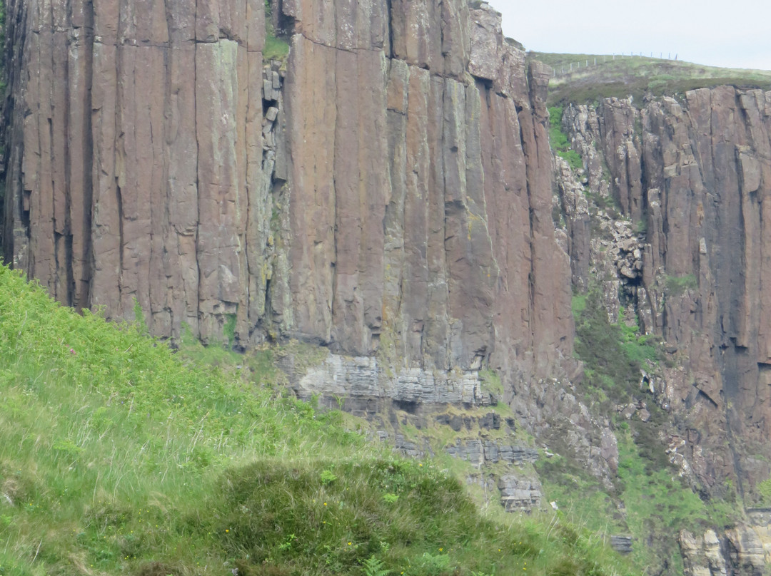 Staffin Fossil Museum景点图片