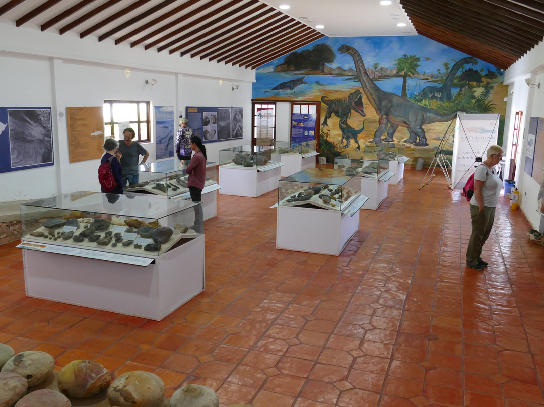 Museo El Fosil景点图片