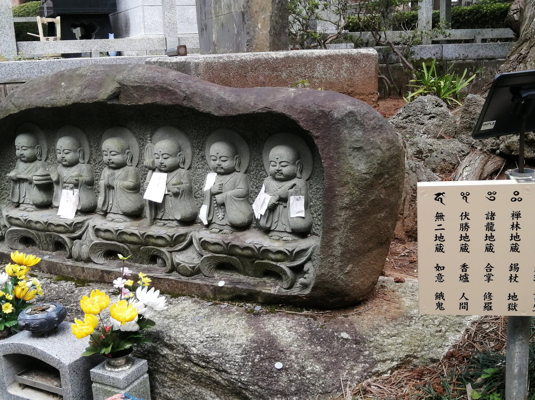 Heiyasan Kozoji Temple景点图片