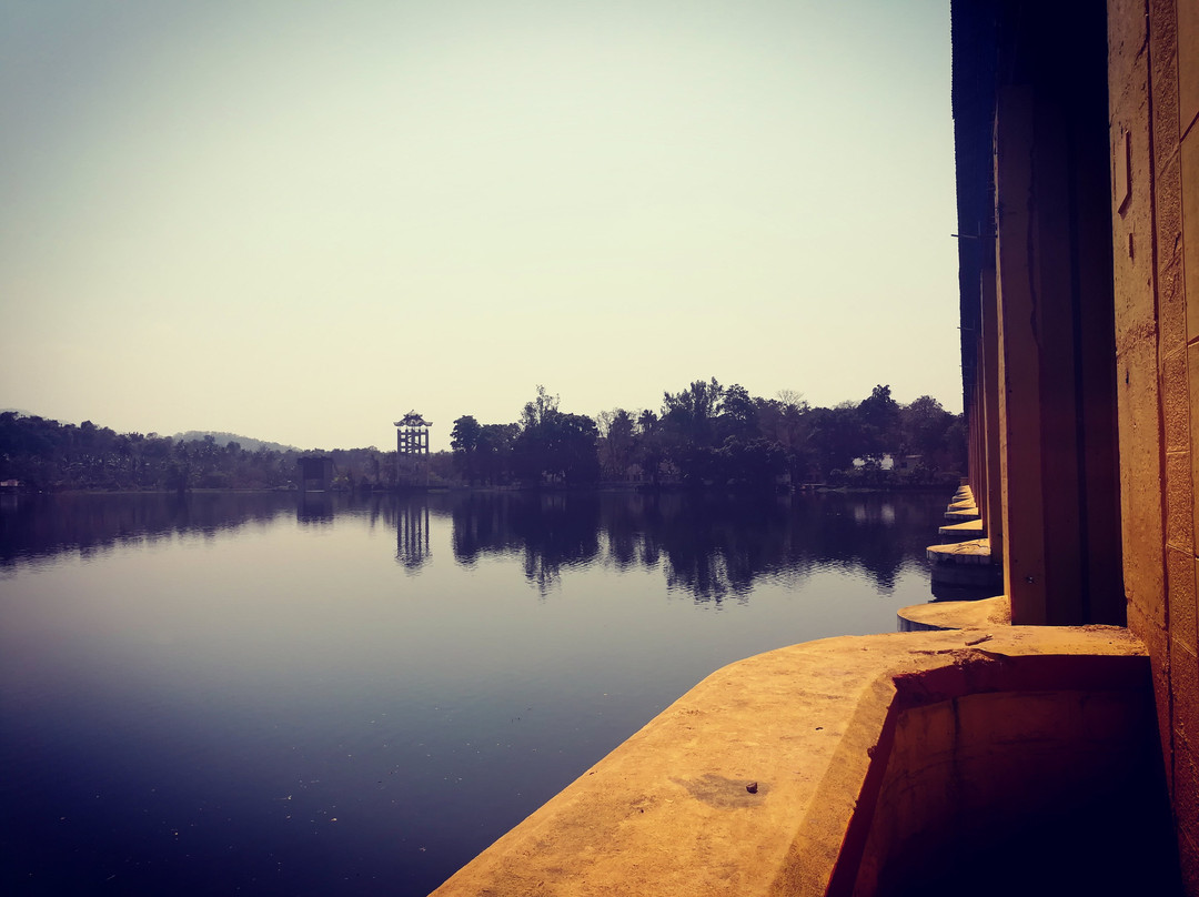 BhoothathanKettu Dam & Reserve Forest景点图片