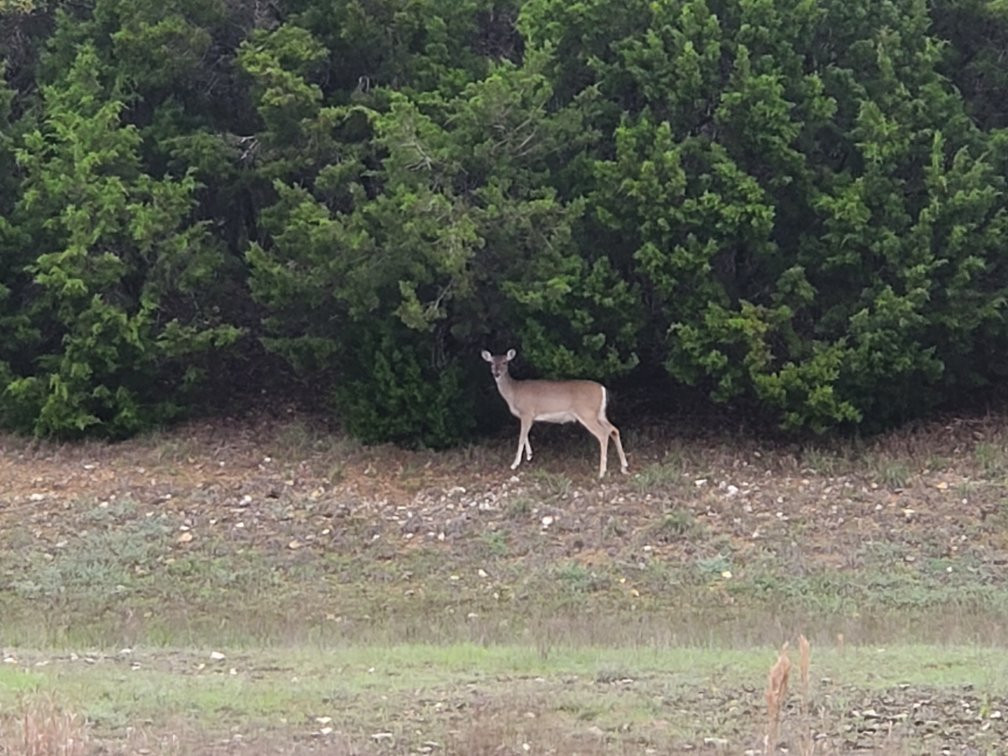 Brushy Creek Regional Trail-斯德伯克必去景点