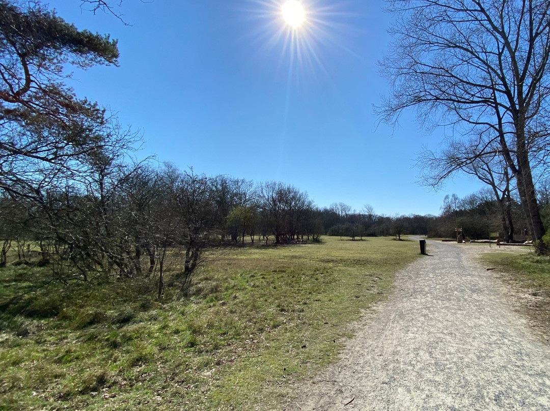 Duinreservaat Meijendel-Kievietsduin-Wassenaar必去景点