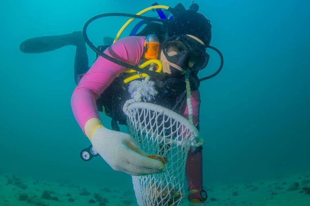 Dive Vision-Amwaj Islands必去景点