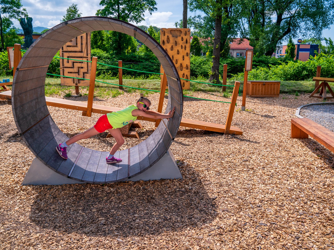 Park W DECHE-别尔斯克-比亚瓦必去景点