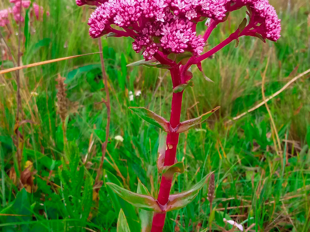 Uyole Cultural Tourism Enterprise-姆贝亚必去景点