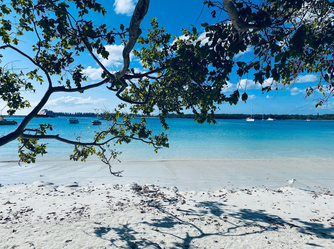 Kuto Bay-Ile Des Pins必去景点