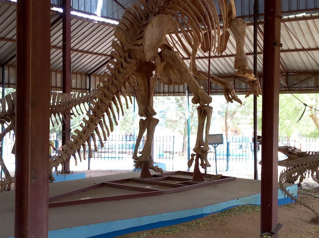 National Museum of Niger (Musée National du Niger)-尼亚美必去景点