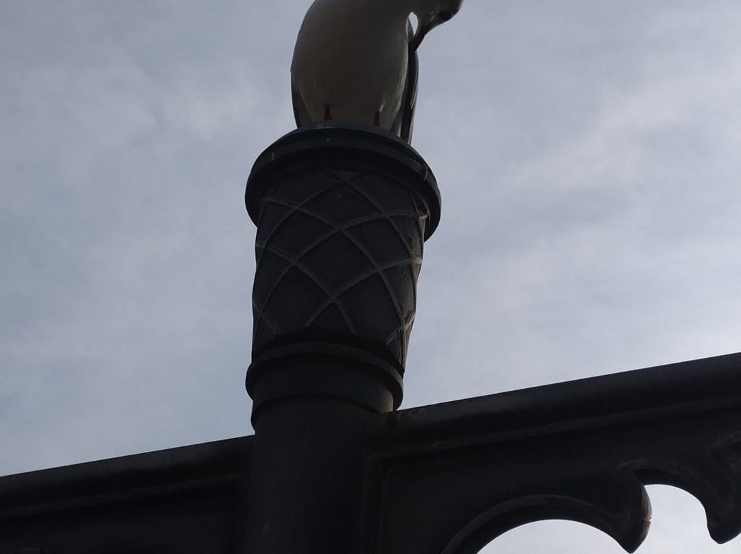 Souk Al-Markazi-沙迦必去景点