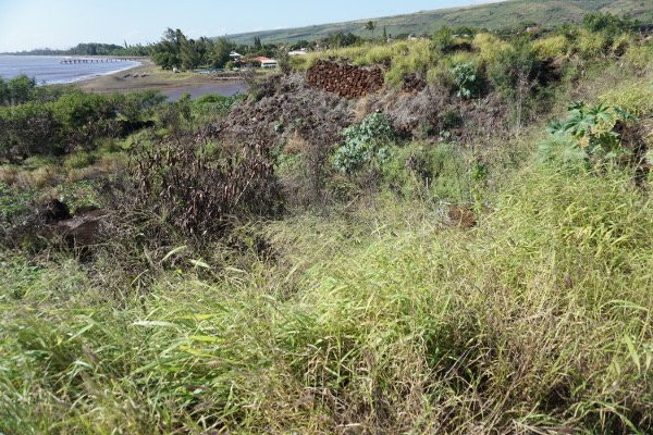 Russian Fort Elizabeth State Historical Park-威美亚必去景点