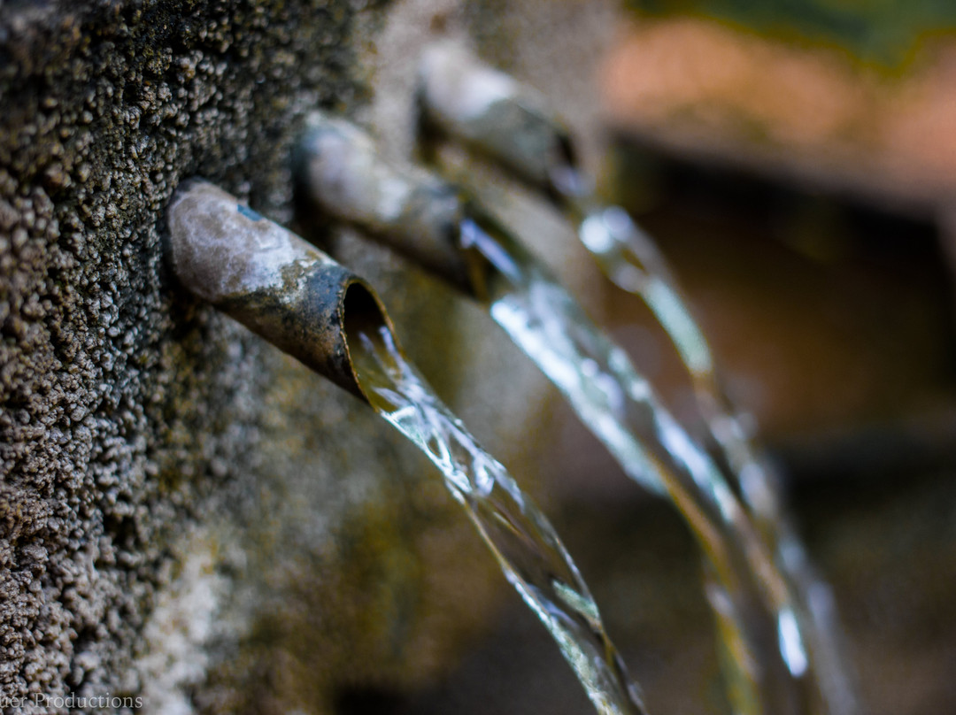 Woodland Gardens主图