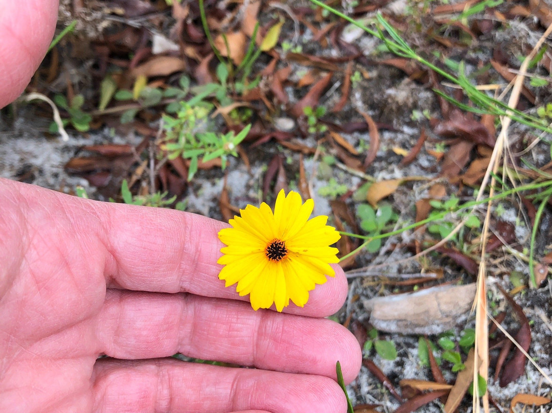 Galt Preserve-Saint James City必去景点