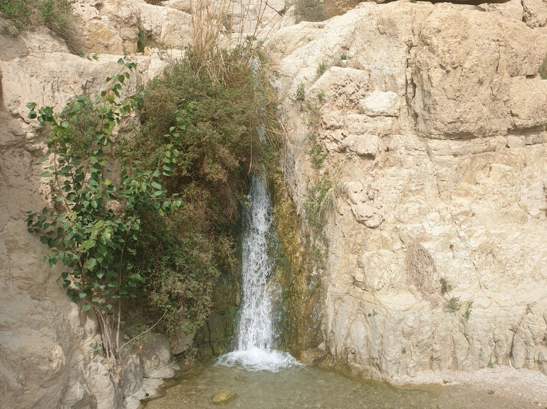 En Gedi Nature Reserve-死海地区必去景点
