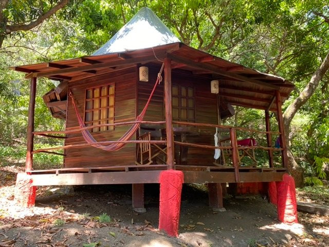 Hotel Los Mangos主图