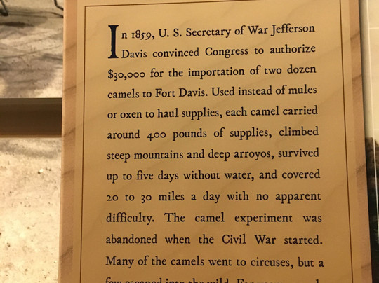 Museum of the Big Bend-Alpine必去景点