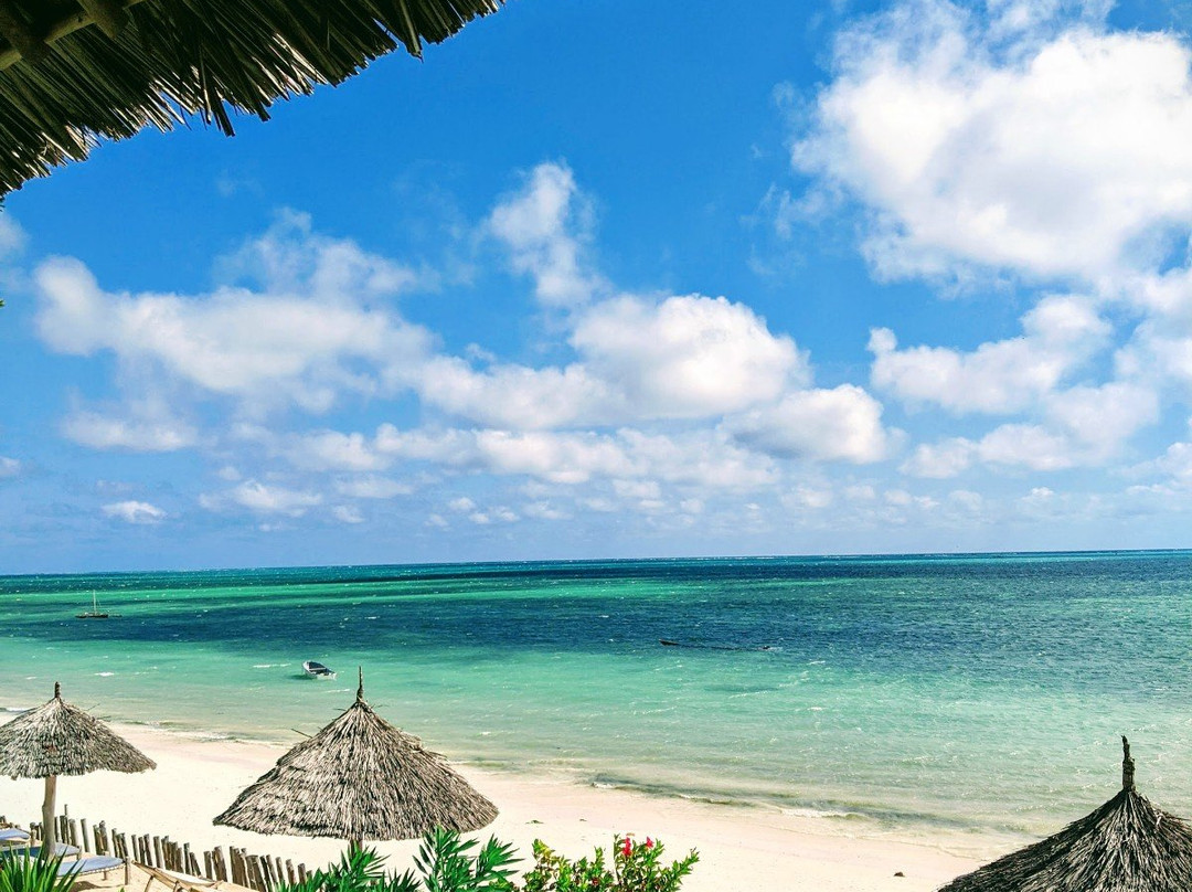 蓝牡蛎酒店主图