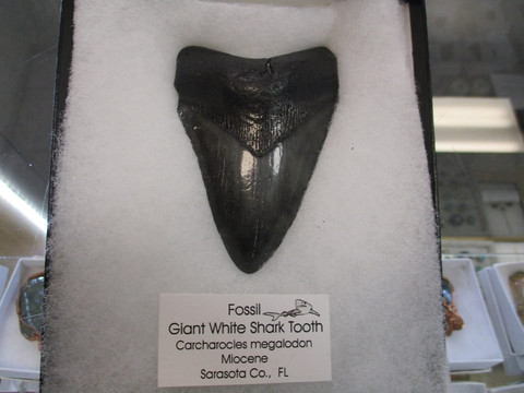 Spirit of the Earth-迈尔斯堡必去景点