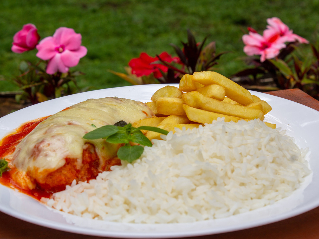 Dona Chica Na Floresta