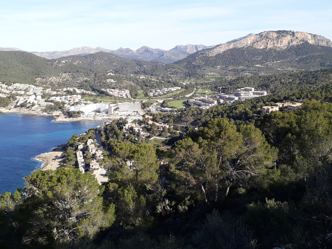 CR1 Peguera-Cap Andritxol Trail景点图片