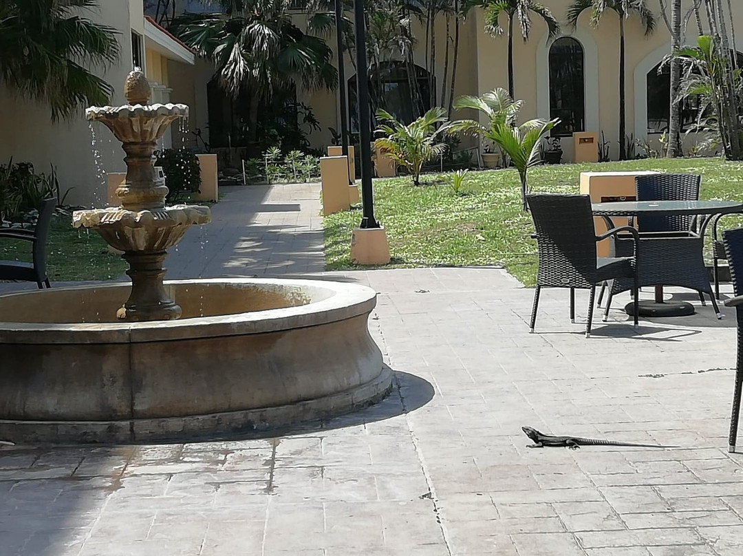 Club Maeva Miramar Tampico主图