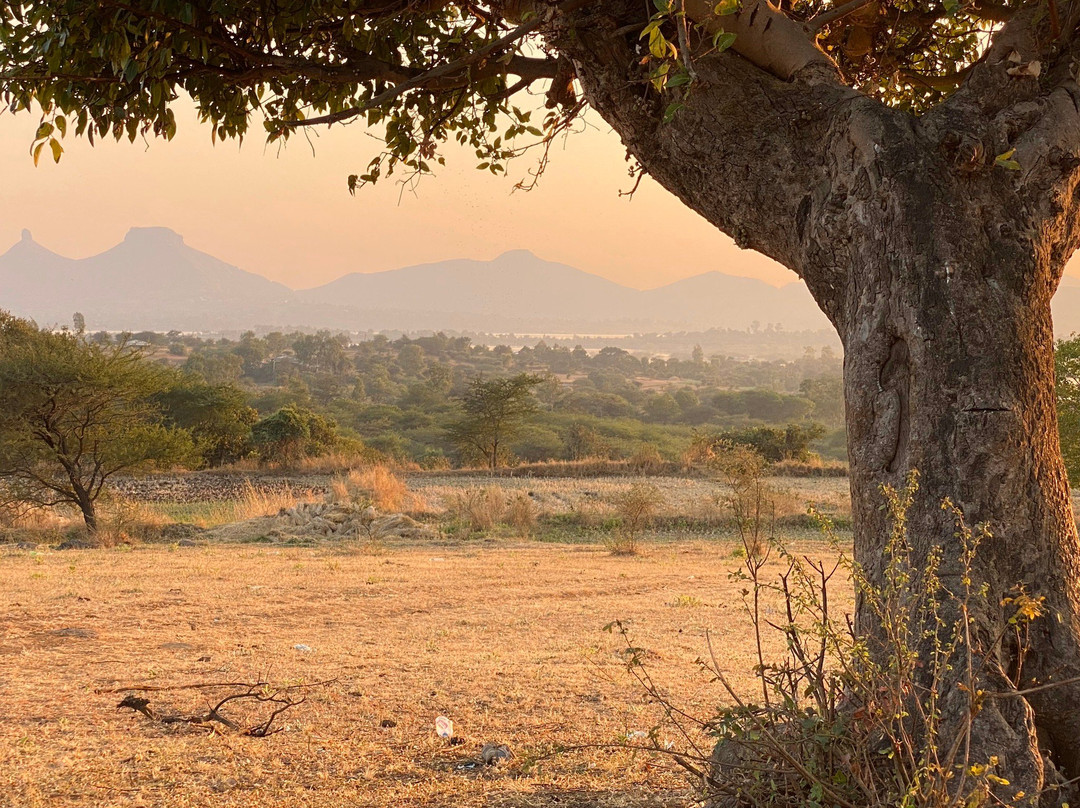 Grover Zampa Vineyards Nashik-纳西克必去景点