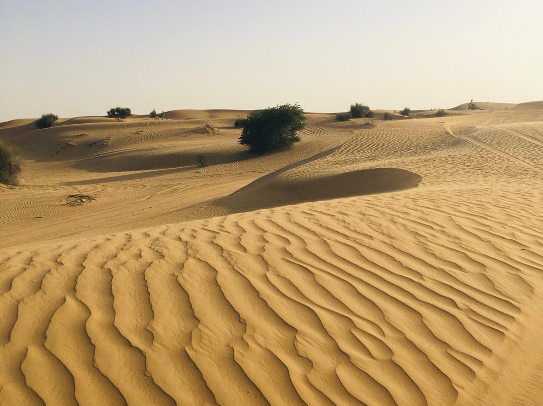 Iconic Tourism LLC-迪拜必去景点