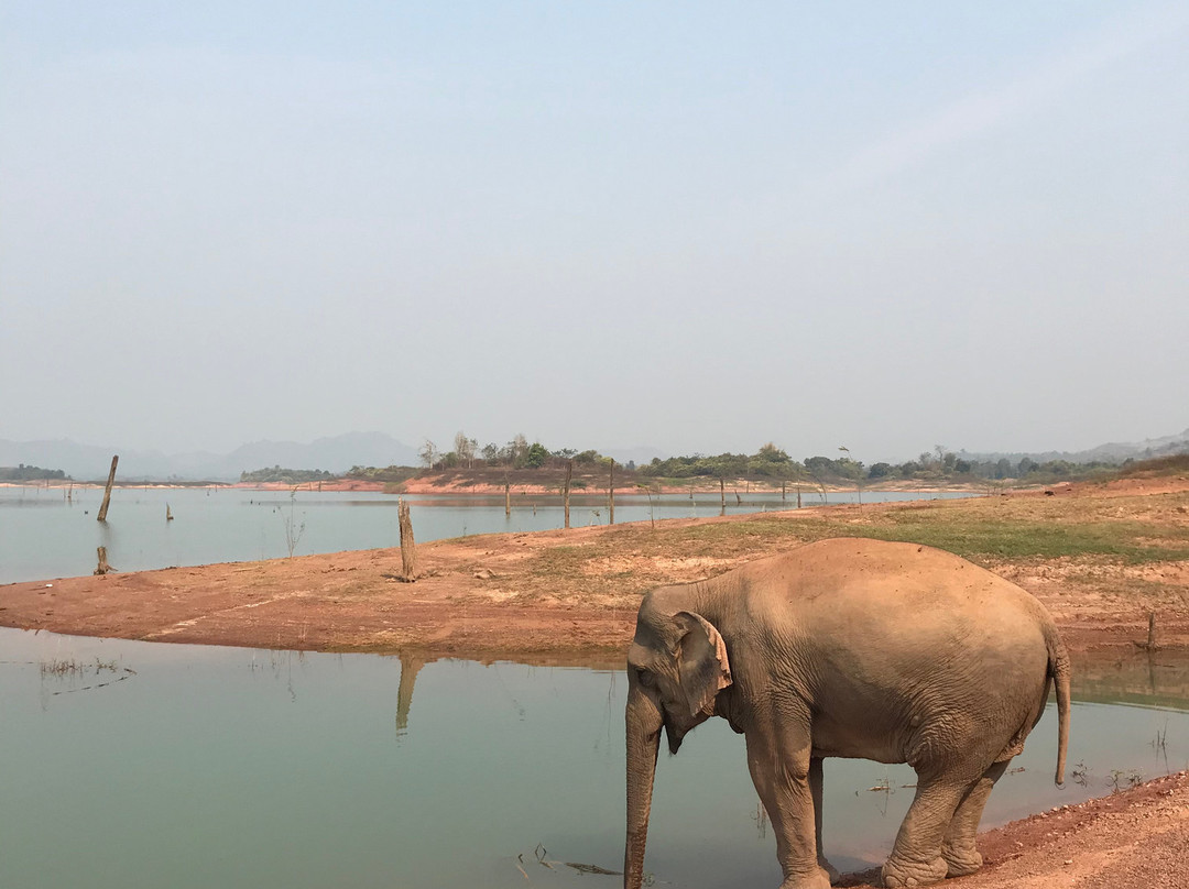 Vang Vieng Elephant Sanctuary-旺阳必去景点