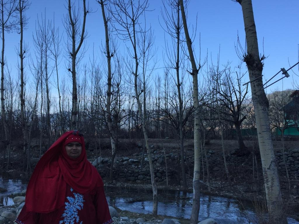 Pahalgam Retreat主图