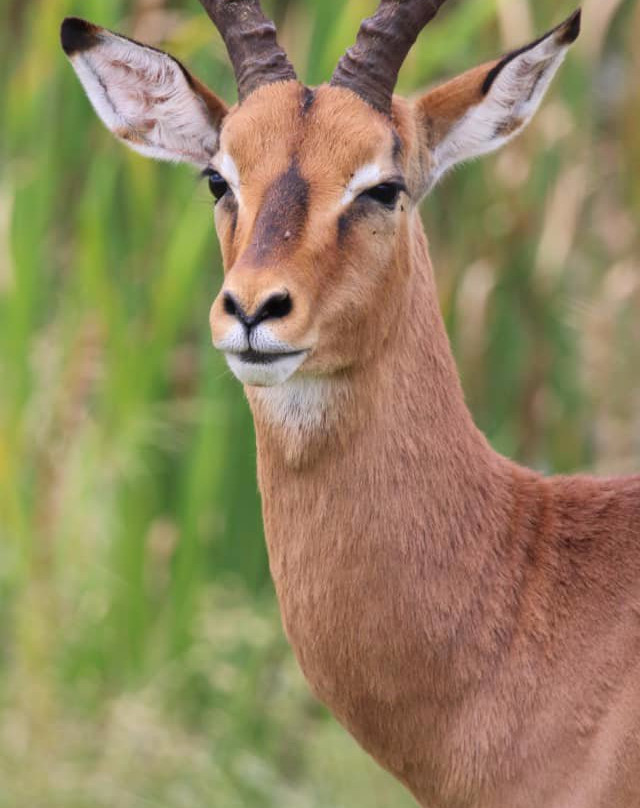 Beach Bush Berg Safaris & Dives景点图片