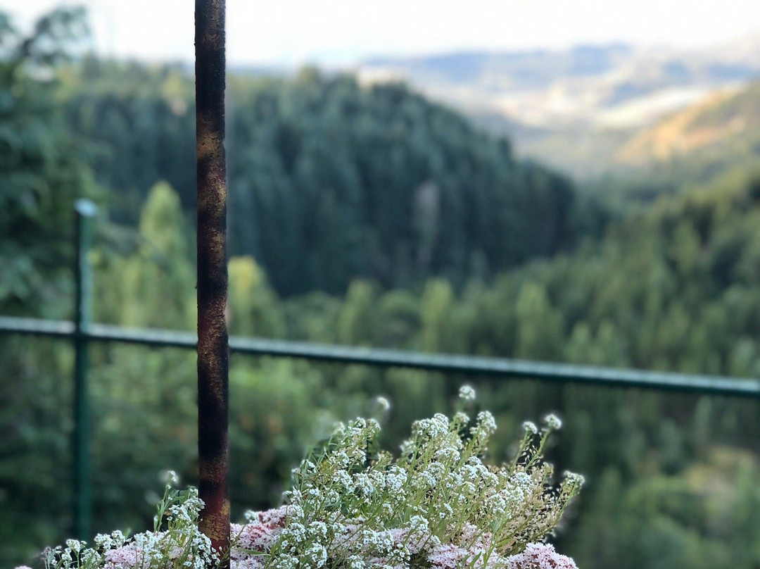 Mirador Cabanas主图