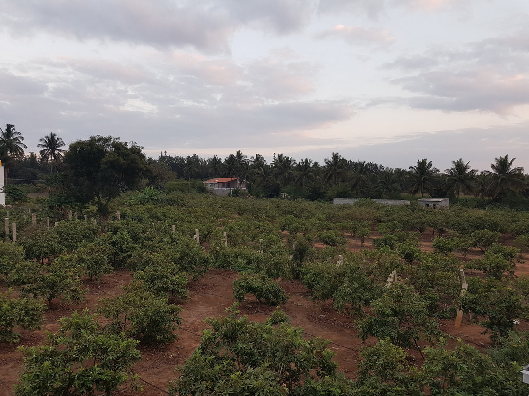 Royal Lotus View Resotel主图