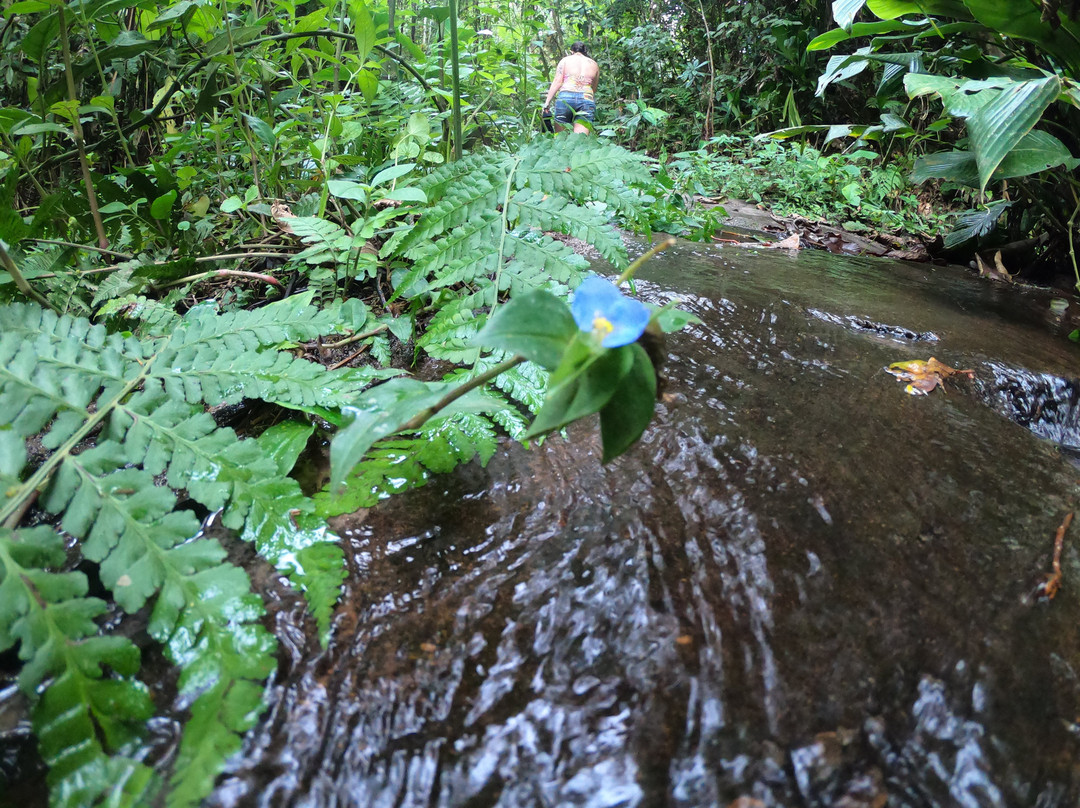 Eco Hotel Arraial do Ouro主图