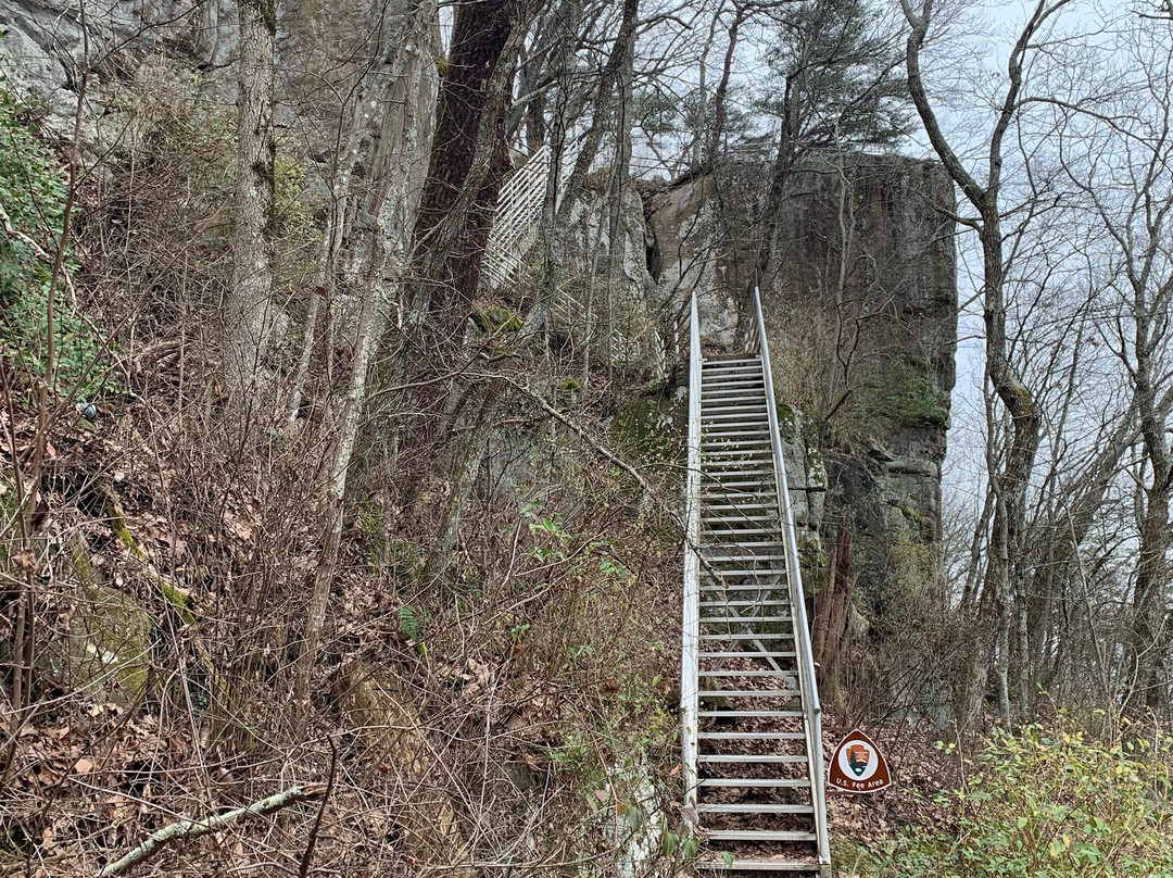 Cravens House-查塔努加必去景点