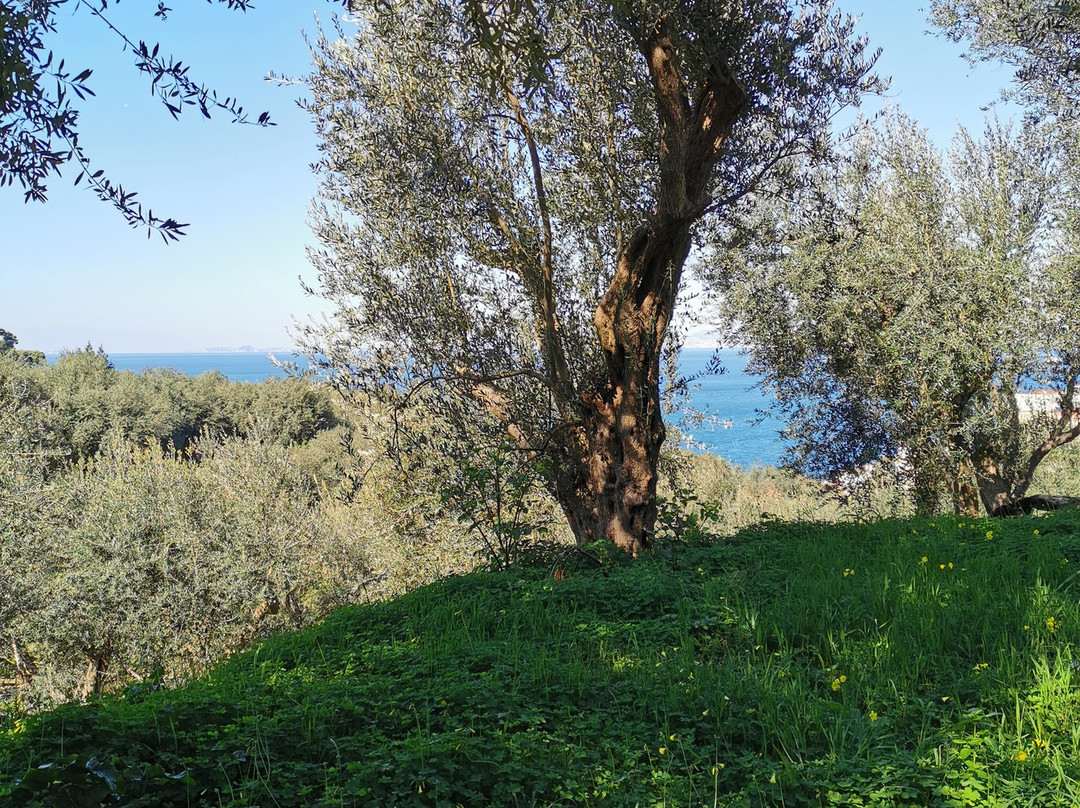 The Chauffeur of Positano-波西塔诺必去景点