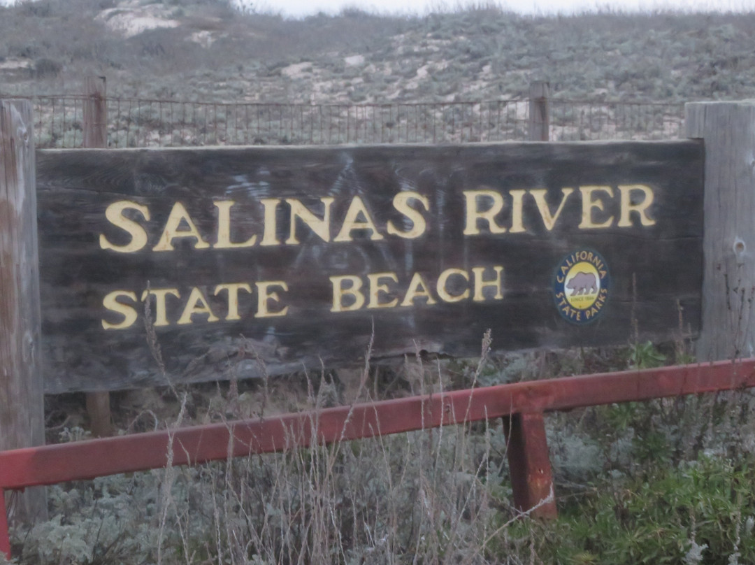 Salinas River State Beach景点图片