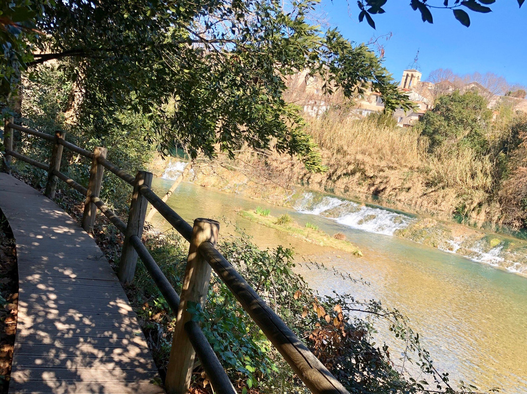 Parc du Domaine de Meric-蒙彼利埃必去景点