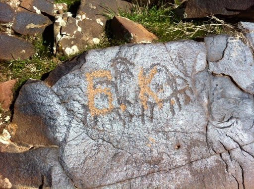 Boraldai Petroglyphs景点图片