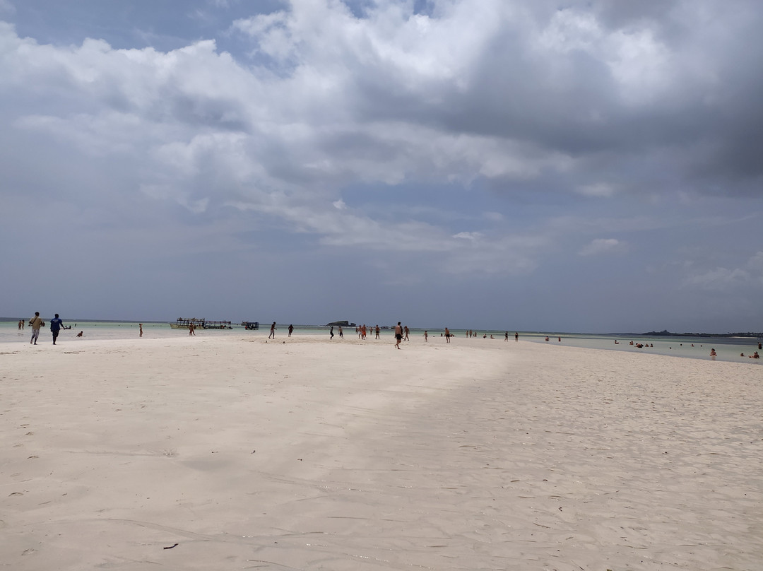 Spiaggia delle Tartarughe-瓦塔木必去景点