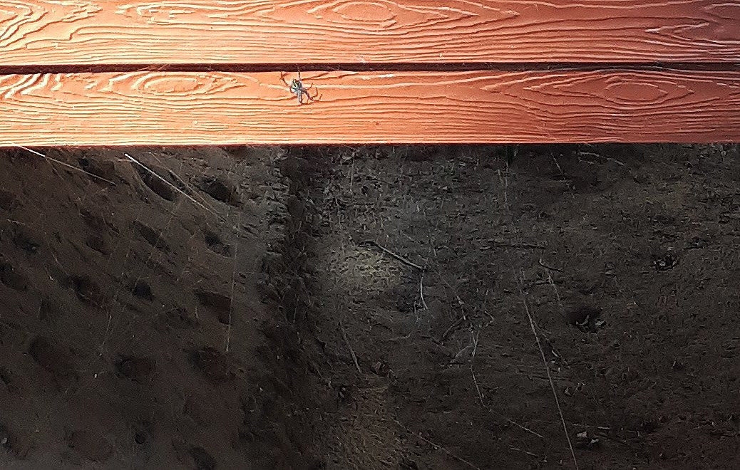 Dusita度假村主图