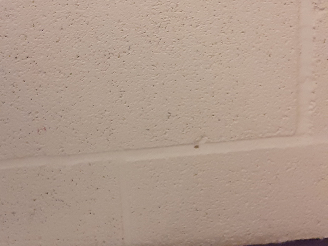 Tigers Indoor Play-达文特里必去景点